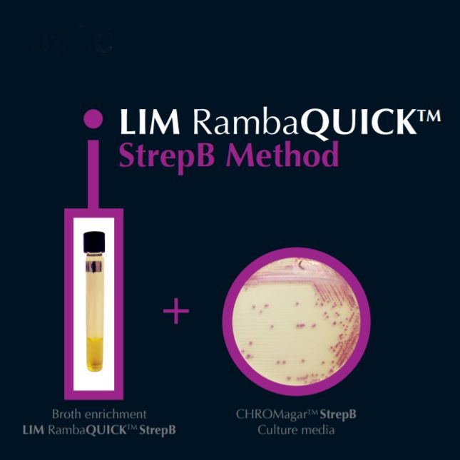 LIM RambaQUICK™ TM StrepB - 5000 ml