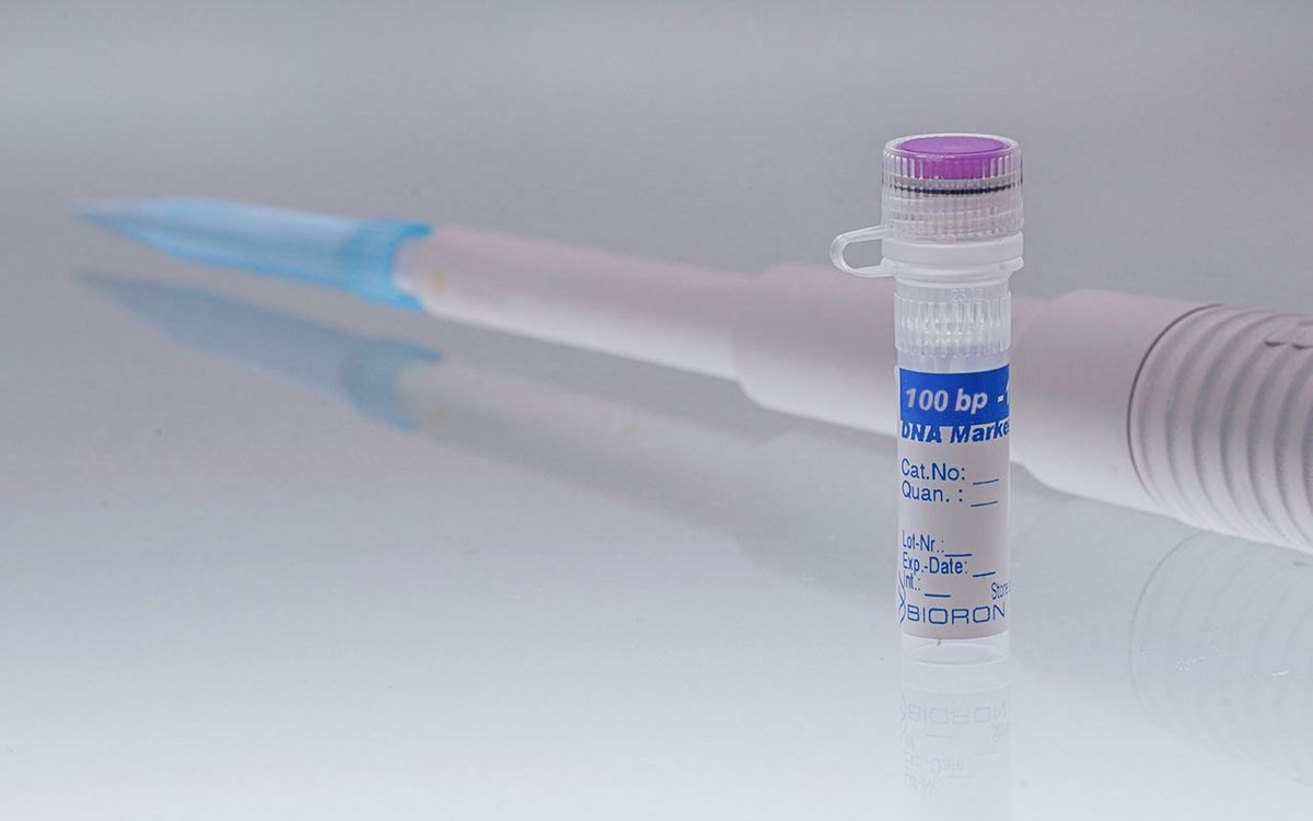 BIORON 100 bp DNA Ladder - 50µg