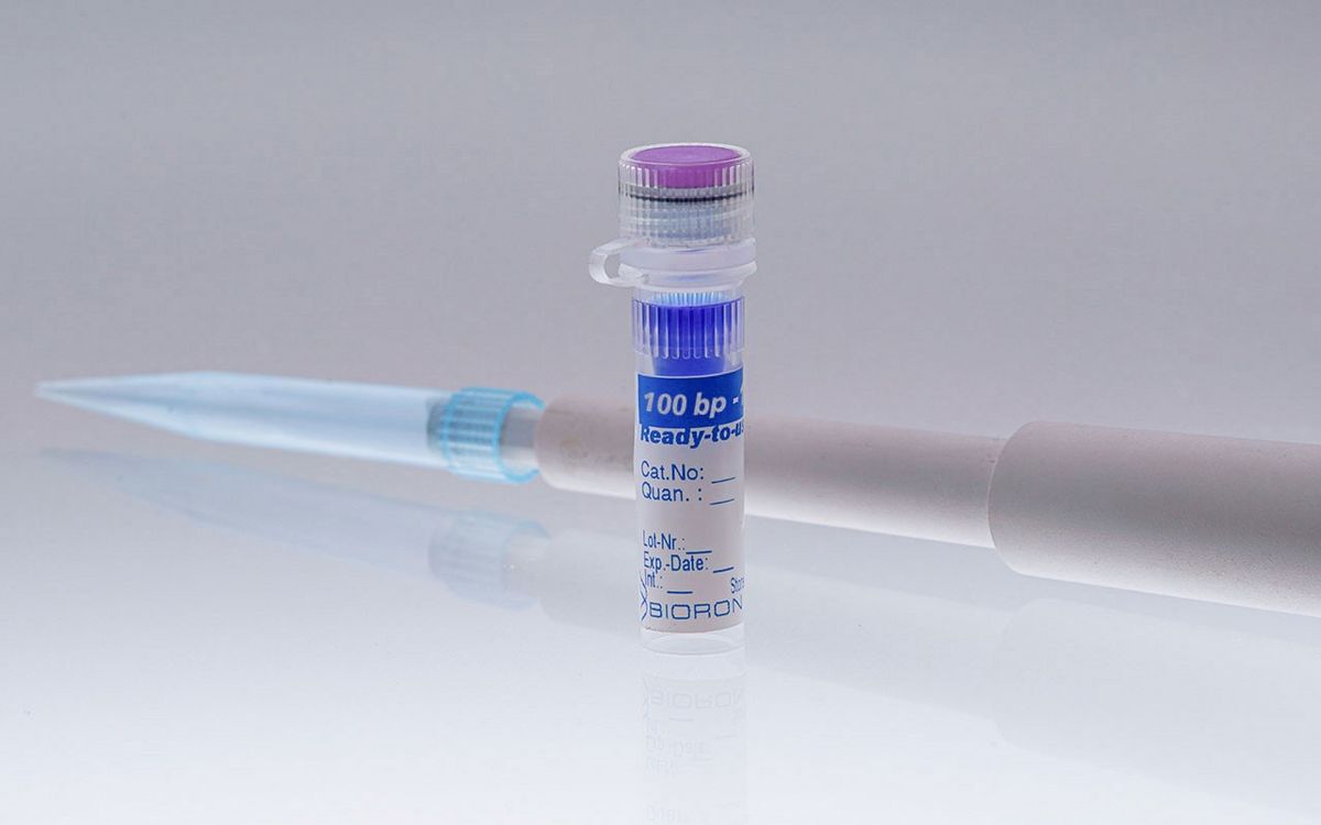 BIORON 100 bp DNA Ladder ready to use - 50µg