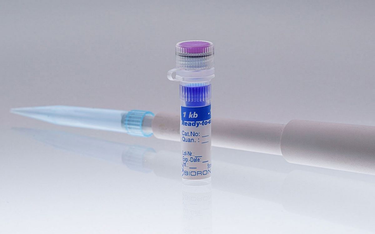 BIORON 1 kb DNA Ladder ready to use - 50µg