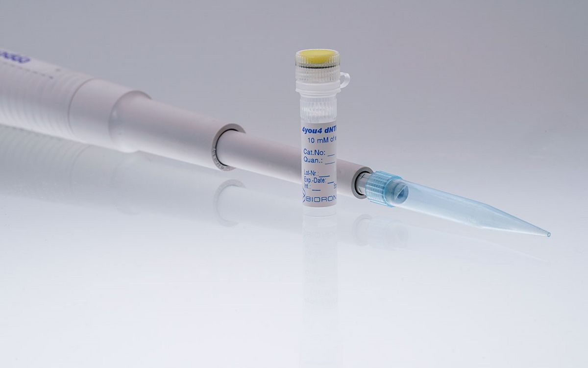 BIORON 4you4 dNTP Mix, 10mM each - 200 µl