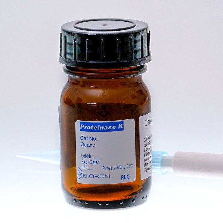 BIORON Proteinase K - 1 g