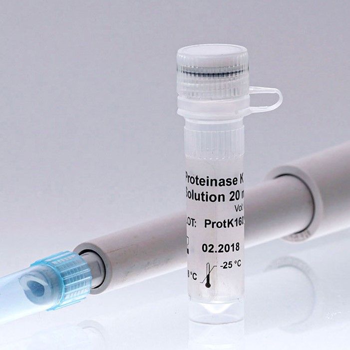 BIORON Proteinase K Solution, 20 mg / ml - 1 ml