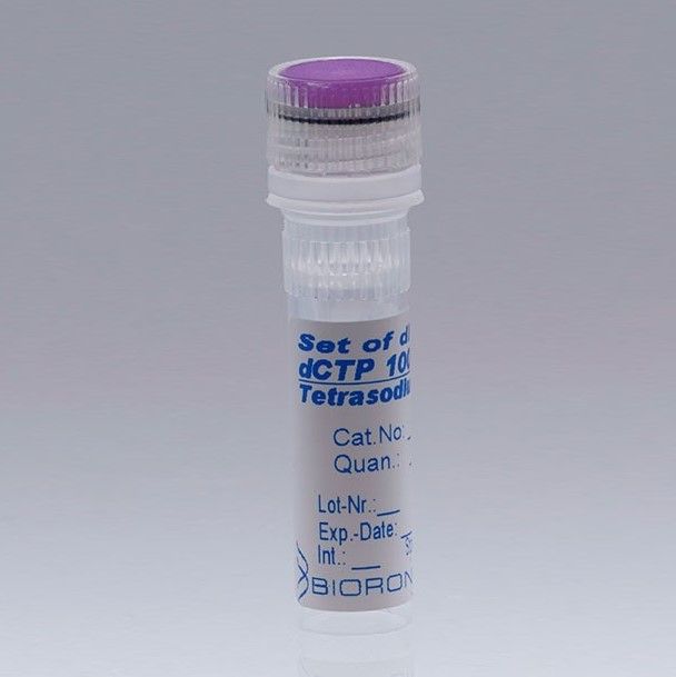 BIORON dCTP, 100mM - 1 ml