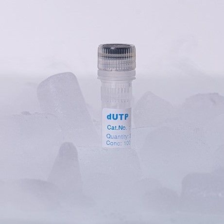 BIORON dUTP, 100mM - 200 µl