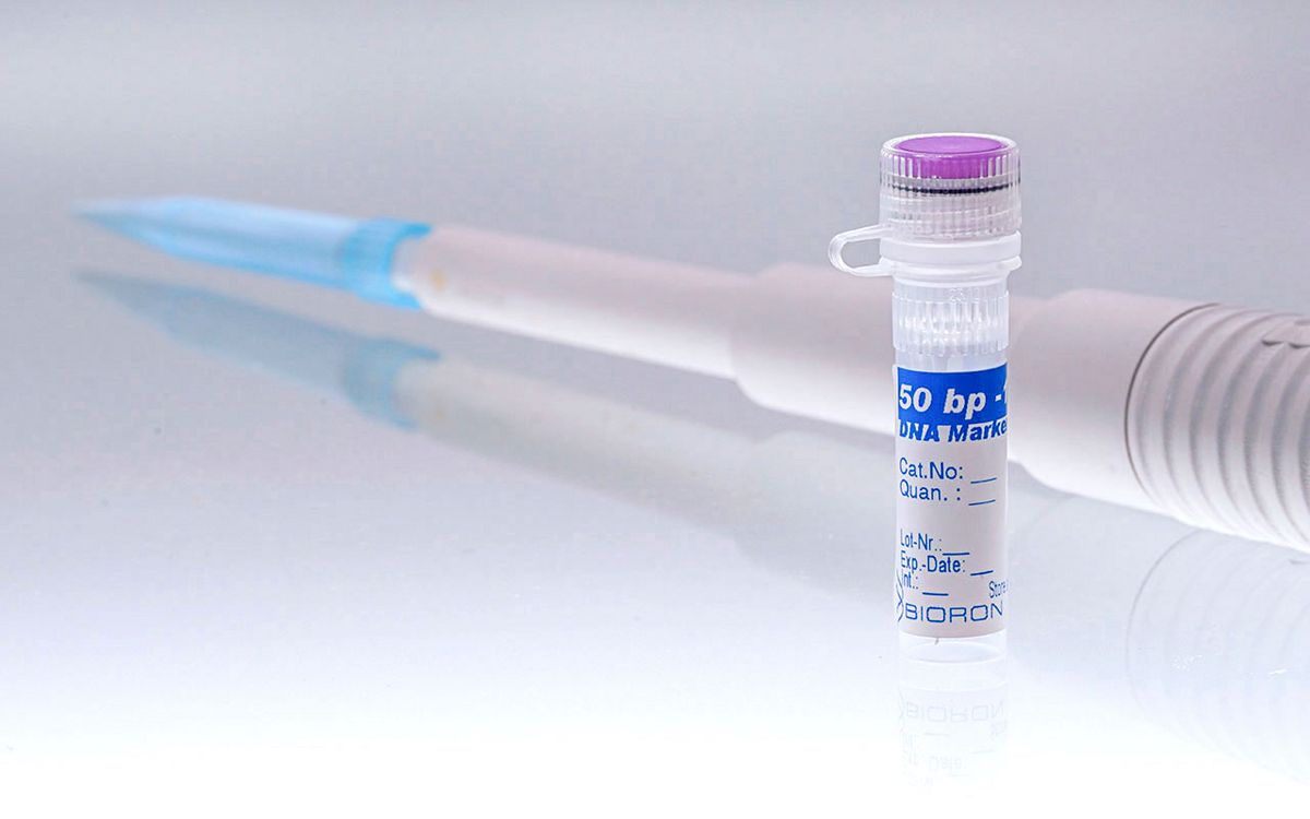 BIORON 50 bp plus DNA Ladder - 50µg