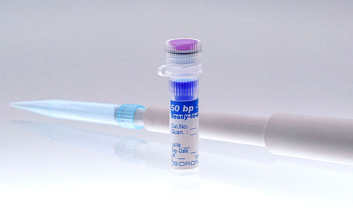 BIORON 50 bp plus DNA Ladder ready to use - 50µg