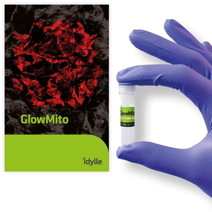 GlowMito - 125 µl