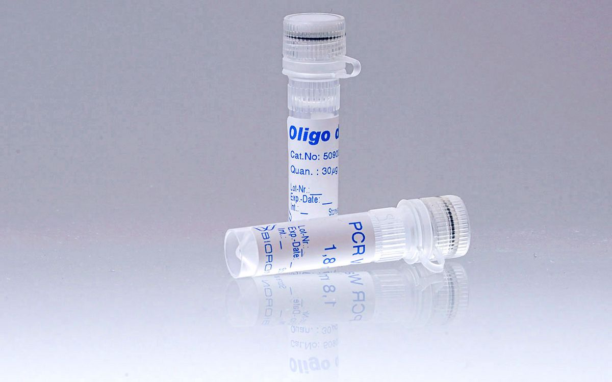 BIORON Oligo (dT) 15 Primer - 30 µg