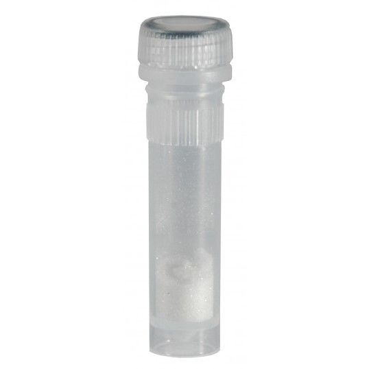 Omni 2ml Tubes with 0.1mm Glass Beads - Sample