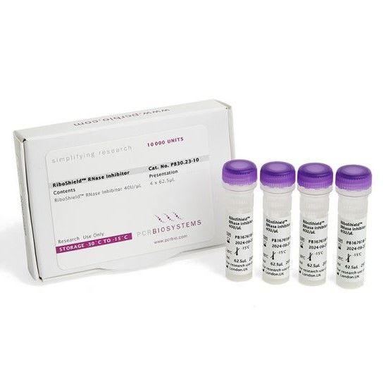 RiboShield™ RNase Inhibitor - 2500 units