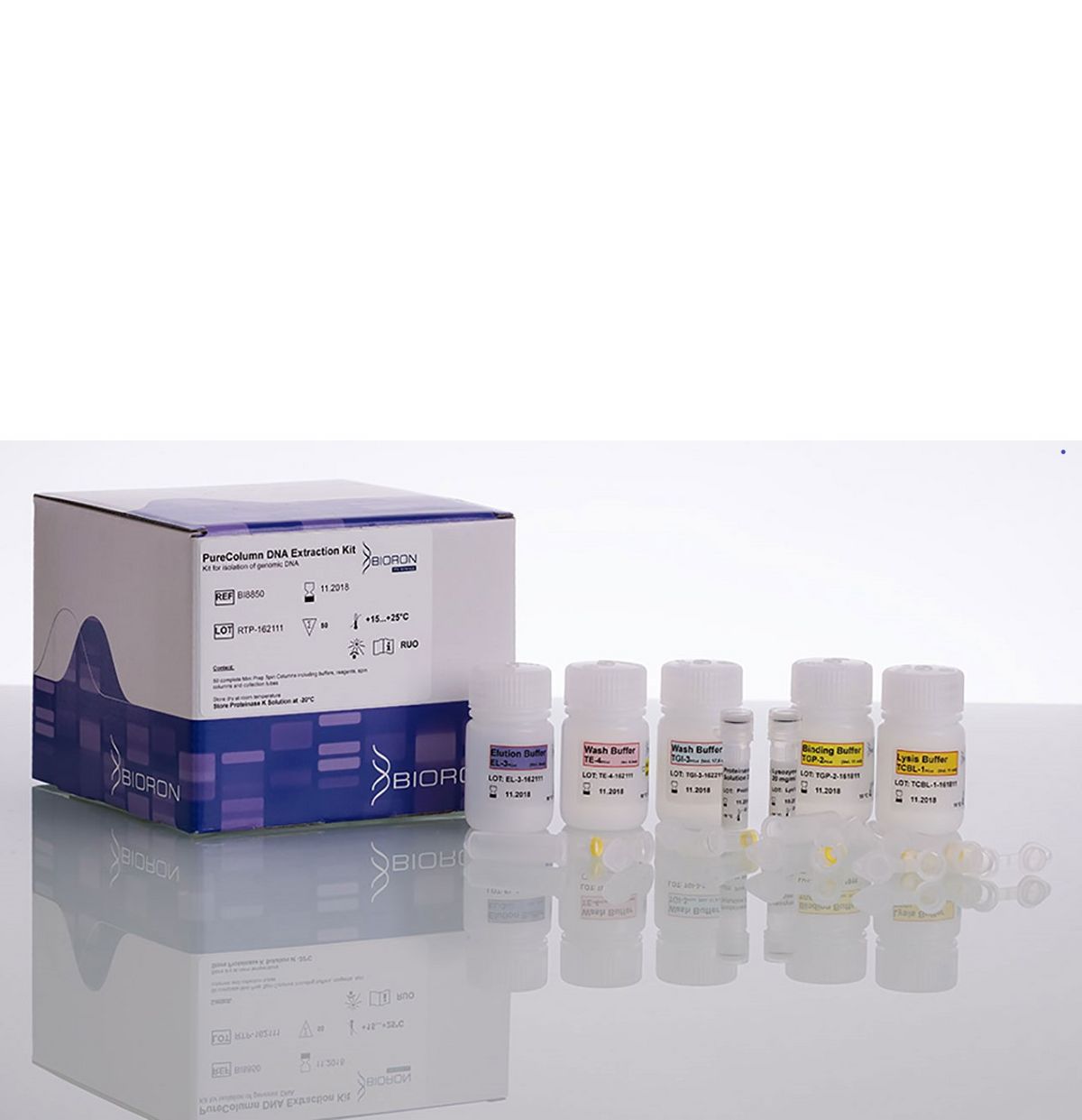 BIORON PureColumn DNA Extraction Kit - 5 x 50 preps